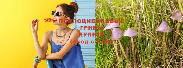 гашик Армянск