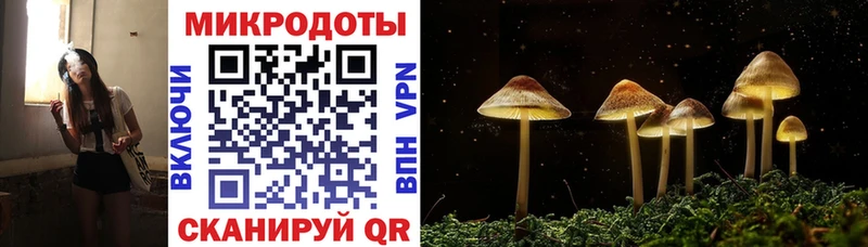 наркошоп  Истра  Галлюциногенные грибы MAGIC MUSHROOMS 